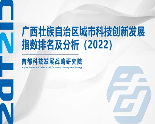 外国人男人大jJ日亚洲女人小B画面视频【成果发布】广西壮族自治区城市科技创新发展指数排名及分析（2022）